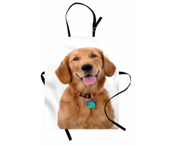 Collar Tags Apron