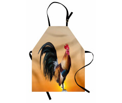 Horoz Mutfak Önlüğü Pembemsi Geçişli Arka Planda Erkek Tavuk