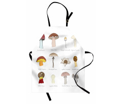 Blusher Boletus Sketch Apron