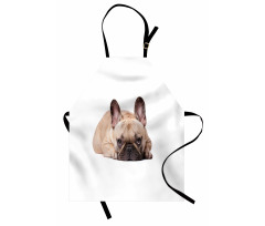 Funny Pet Animal Lovers Apron