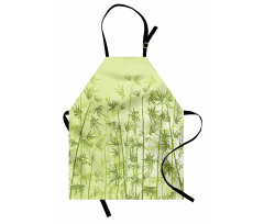 Tropical Growth Forest Apron