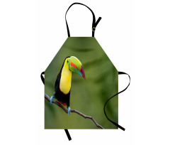 Keel Billed Toucan Apron