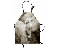 Fluffy Wooly Sheep Herd Apron