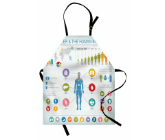 Water and Human Body Info Apron