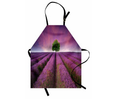 Lavender Fields and Tree Apron