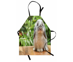 Photo of Holland Lop Rabbit Apron