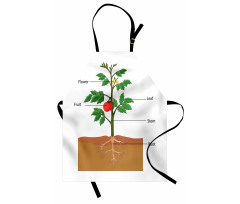 Parts of a Tomato Plant Apron