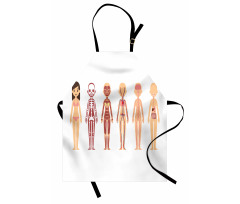 Female Body Anatomy Chart Apron