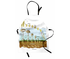 Life Cycle of Mushrooms Apron