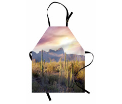 Saguaro Cactus and Mountain Apron