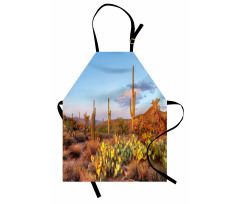 Cacti in Sonoran Desert Apron