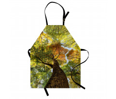 Autumn Tree of Nature Photo Apron