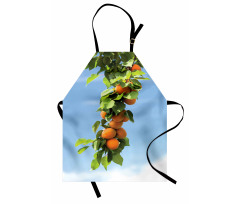 Succulent Apricots on Tree Apron