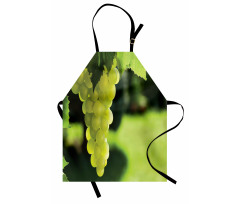 Bunch of Fruits Hanging Photo Apron