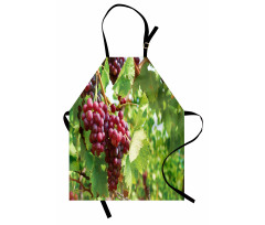 Bunch of Wine Fruits Foliage Apron