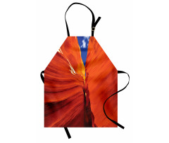 Grand Canyon USA Rocks Apron