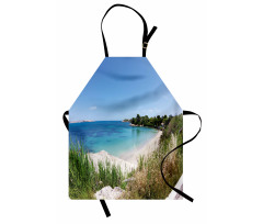 Panoramic Sandy Coastline Apron