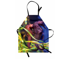 Close up Photo with Kelp Apron