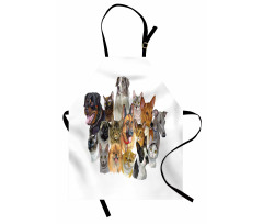 Domestic Animals Apron