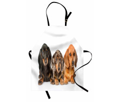 Different Color Dogs Lays Apron