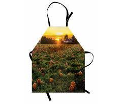 Fall Patch at Sunset Apron