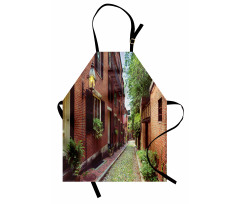 Historic Acorn Street Apron