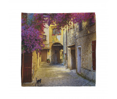 Historical Houses Alley Bandana