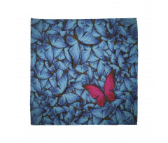 Large Bugs Lepidoptera Bandana