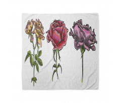 Various Rose Flower Types Bandana