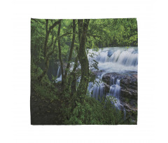 Canyon Woods Scene Bandana