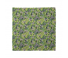 Exotic Jungle Monkey Graphic Bandana