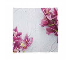 Relaxing Orchids Pattern Bandana