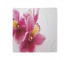 Close up Orchids View Bandana