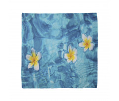 Frangipani Flower Aqua Bandana