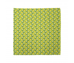 Citrus Fruits Vibrant Colors Bandana