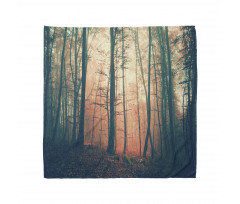 Autumn Forest Woodland Bandana