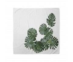 Monstera Deliciosa Bandana