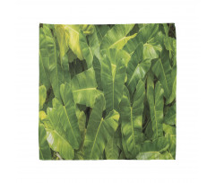 Photo of Tropic Botany Bandana