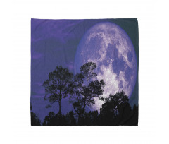 Trees on a Field at Night Bandana