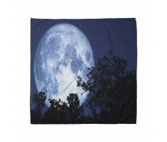 Moon Beaming in the Woods Bandana