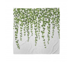 Garden Theme Grape Leaves Bandana