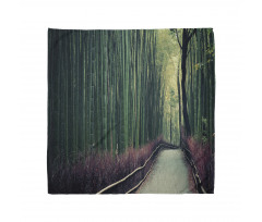 Bamboo Grove in Arashiyama Bandana