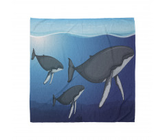 Swimming Whales Scenery Bandana