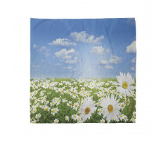 Daisy Spring Meadow Bandana