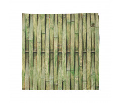 Botanical Wall Picture Bandana