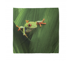 Exotic Wild Macro Leaf Bandana