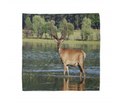 Mountain Animal in Water Bandana