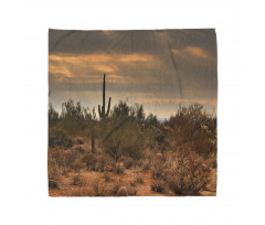 Dramatic Shady Desert Bandana