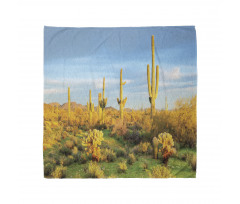 Sonoran Desert Blooms Bandana