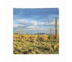 Western Cactus Spikes Bandana